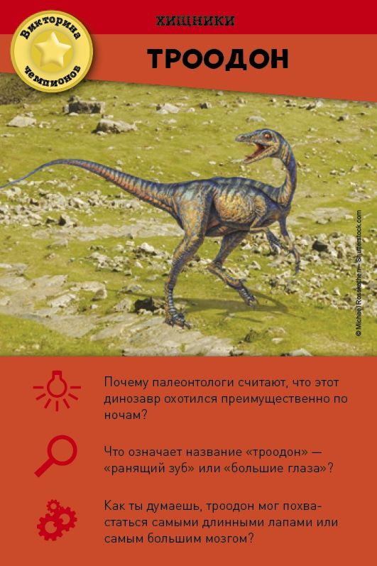 Clever Настольная игра "Викторина чемпионов. Динозавры" Clever Настольная игра "Викторина чемпионов. Динозавры"