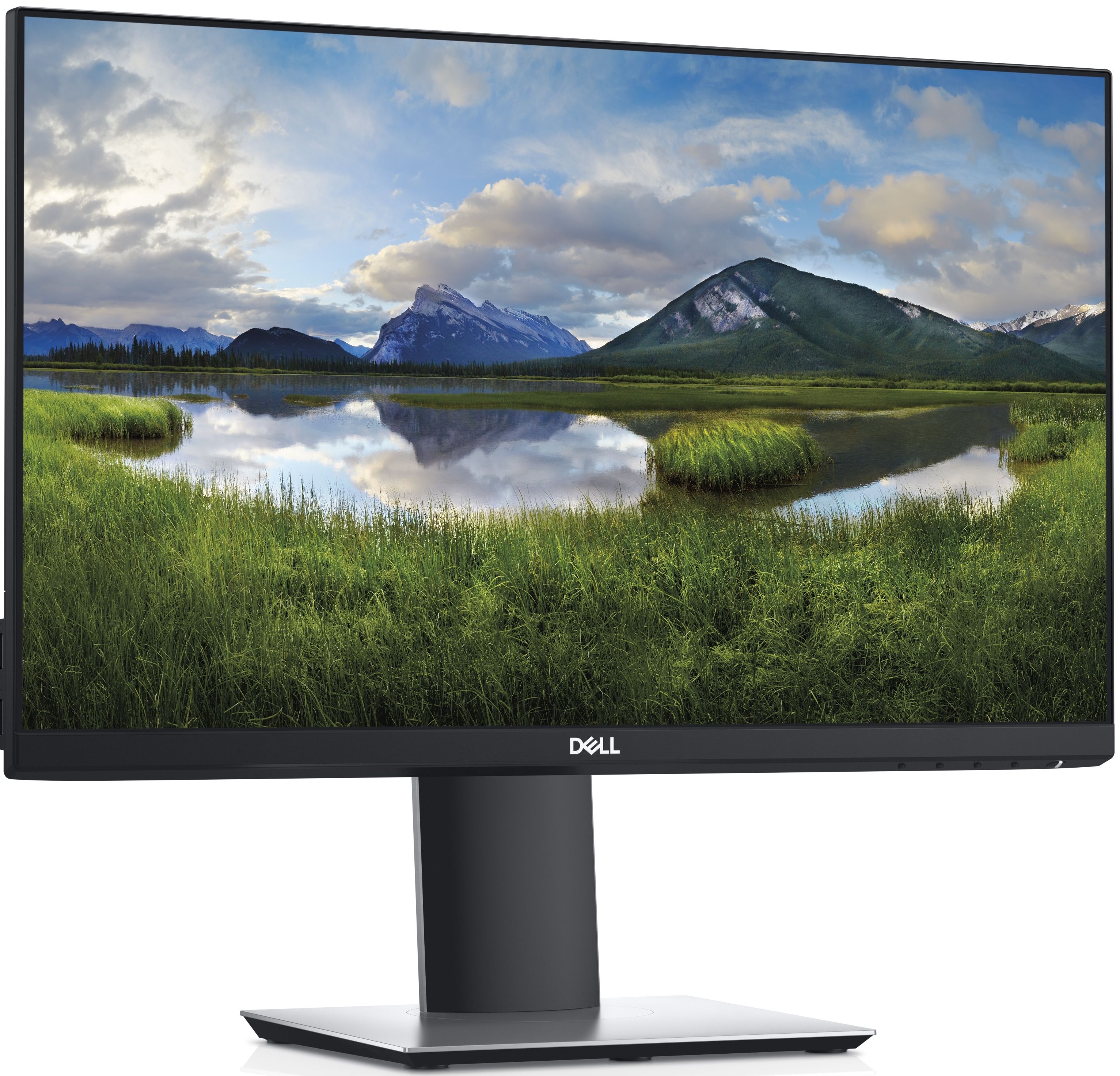 DELL 23.8" IPS LED P2419HC