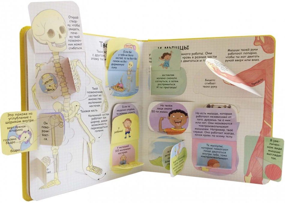 Робинс Книга "Волшебные створки. Секреты человека"