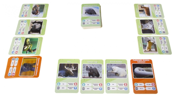 GaGa Настольная игра "Это Факт! Зоопарк"