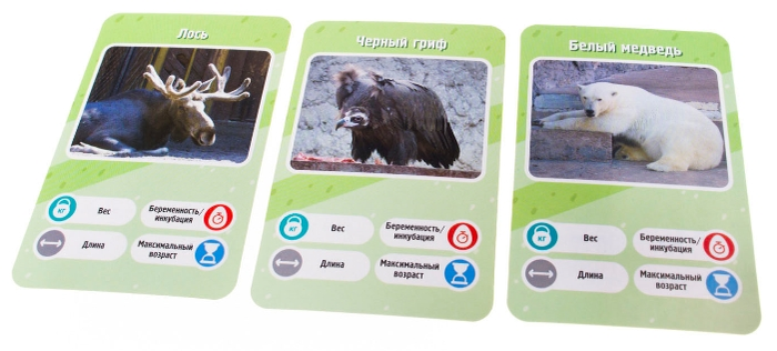 GaGa Настольная игра "Это Факт! Зоопарк"