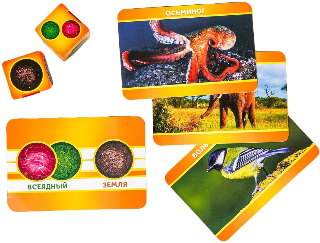 ЛасИграс Настольная игра "По следам животных"