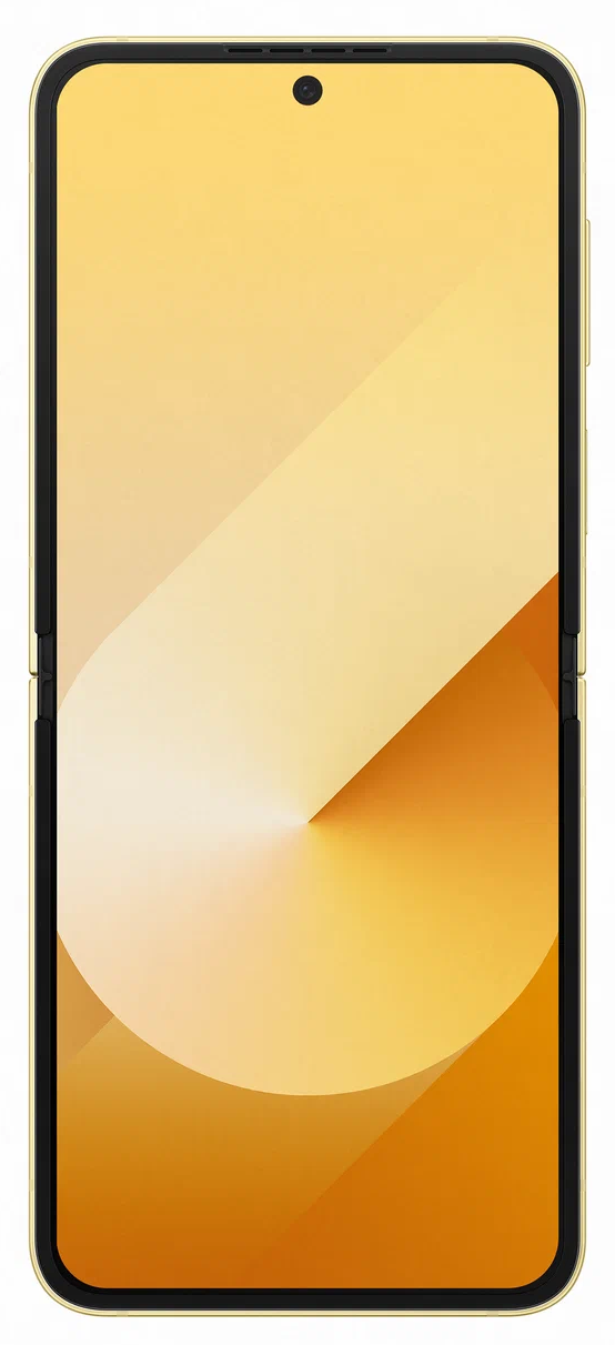 Samsung Galaxy Z Flip6 5G SM-F741B 12/256Gb