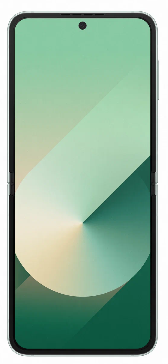 Samsung Galaxy Z Flip6 5G SM-F741B 12/256Gb