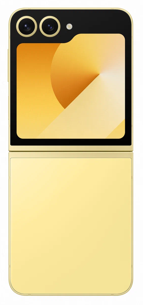 Samsung Galaxy Z Flip6 5G SM-F741B 12/256Gb