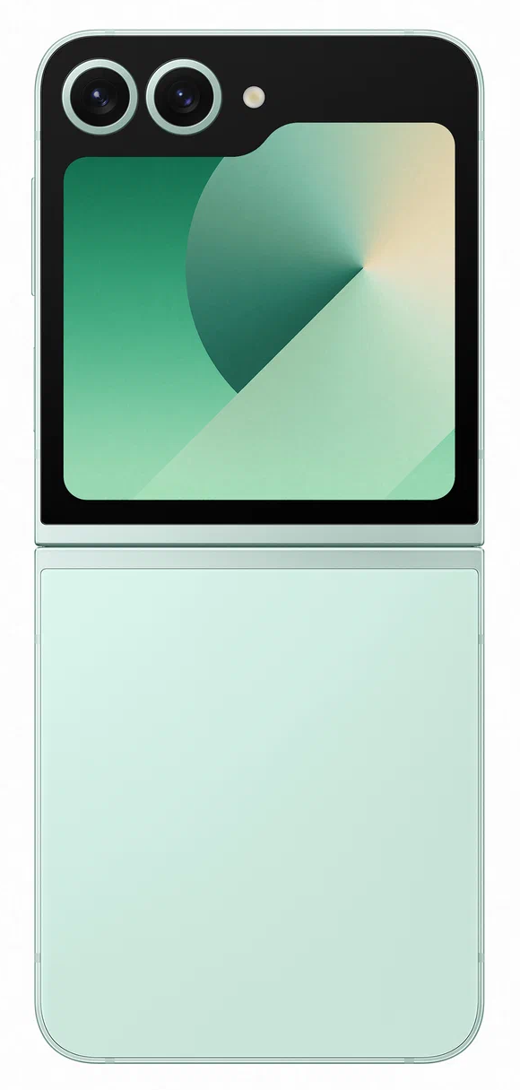 Samsung Galaxy Z Flip6 5G SM-F741B 12/256Gb