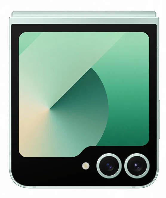 Samsung Galaxy Z Flip6 5G SM-F741B 12/256Gb