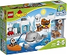 Lego Конструктор Duplo "Вокруг света: Арктика" 40 деталей