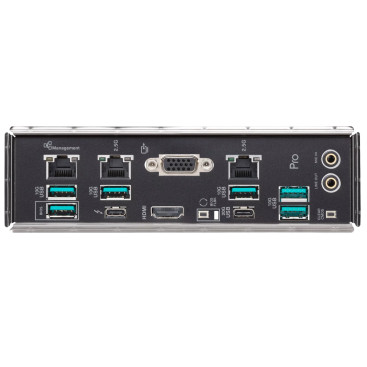Asus PRO WS W880-ACE SE LGA1851