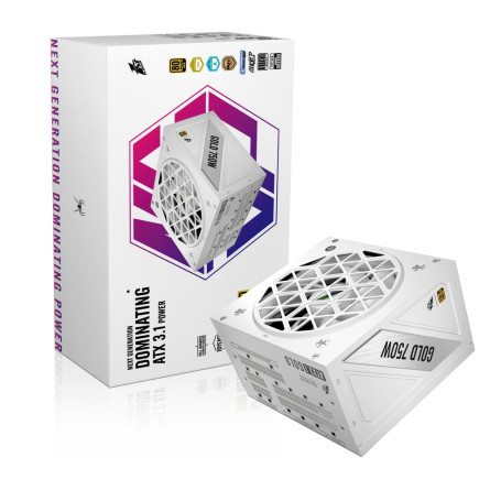 1STPLAYER NGDP GOLD 750W, ATX 3.1, 80 PLUS Gold, PCIe 5.1, White, HA-750BA4-WH