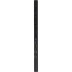 15.6" ASUS 4K PA169CDV, черный