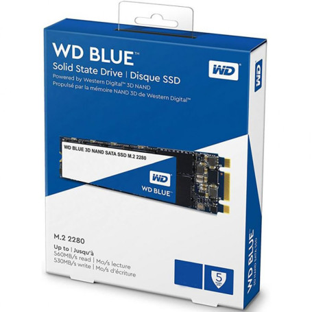 WD Blue 500GB M.2 2280 SATA 6Gb/s 560/530 WDS500G2B0B (Retail)