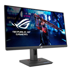 24.5" ASUS FHD XG259QNS, черный
