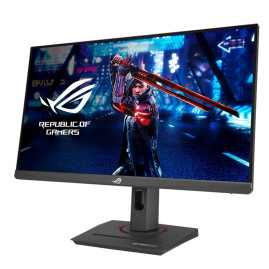 24.5" ASUS FHD XG259QNS, черный