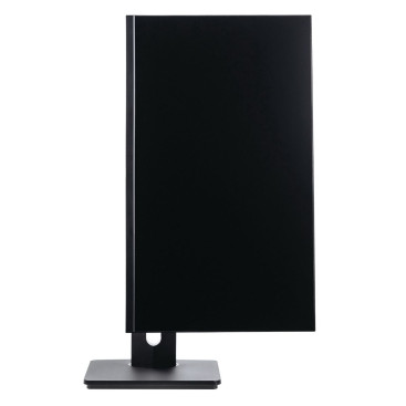 23.8" Lime FHD T238A, черный