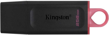 Память USB Flash Kingston 256 Гб DataTraveler Exodia USB 3.0 (черный/красный)