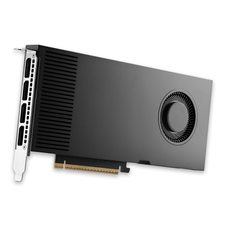 NVIDIA RTX PRO 4000 Blackwell (900-5G147-2270-000)