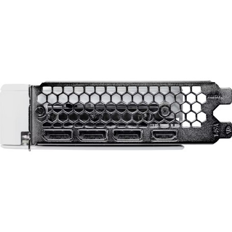 Palit NVIDIA GeForce RTX 5060 WHITE OC 8GB (NE75060U19P1-GB2063M)