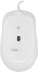 Мышь A4Tech Fstyler FM10 белый/серый оптическая 1600dpi USB 4but (FM10 WHITE)