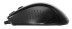 A4Tech V-Track Padless N-500F, проводная, 1200dpi, черный