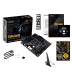 Asus TUF GAMING B550M-PLUS WIFI II socket AM4