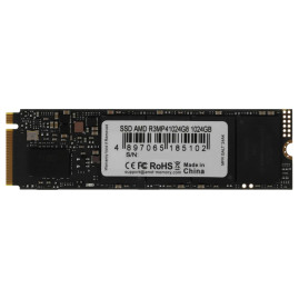 AMD Radeon R3 1TB M.2 2280 R3MP41024G8