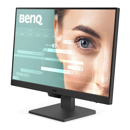 23.8" BenQ FHD GW2490, черный