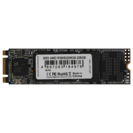 AMD Radeon R3 256GB M.2 2280 SATA 6Gb/s R3MS0256G8