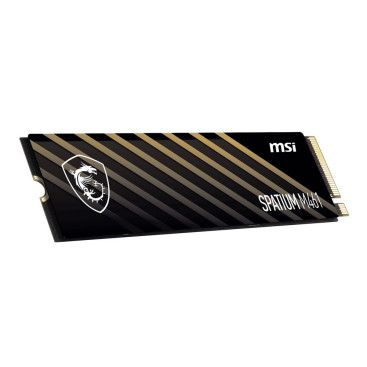 MSI SPATIUM M461 1TB M.2 PCIe Gen4x4 S78-440L1D0-P83