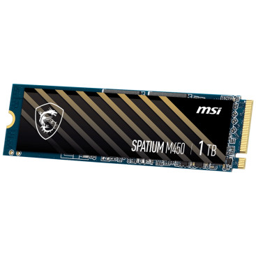 MSI SPATIUM M450 1TB M.2 2280 PCIe Gen4x4 3400/2500 S78-440L0M0-P83