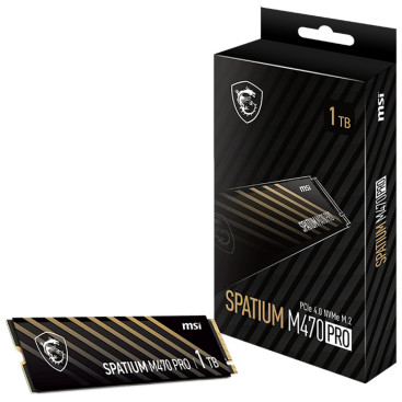MSI SPATIUM M470 PRO 1TB M.2 2280 PCIe Gen4x4 S78-440L0J0-P83