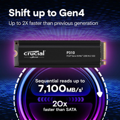 Crucial P310 1TB M.2 2280 PCIe Gen4x4 CT1000P310SSD5