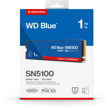 WD Blue 1TB M.2 2280 SATA 6Gb/s WDS100T5B0E