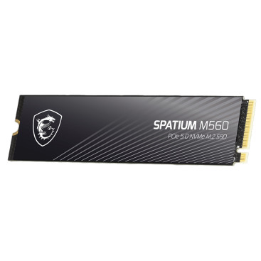 MSI SPATIUM M560 1TB M.2 2280 PCIe Gen5x4 S78-440L0F0-P83