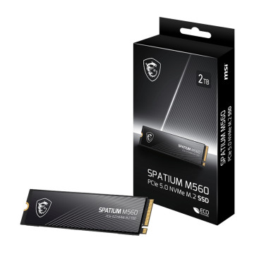 MSI SPATIUM M560 2TB M.2 2280 PCIe Gen4x4 4900/4400 S78-440Q940-P83