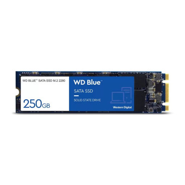 WD Blue 2TB M.2 2280 SATA 6Gb/s 560/530 WDS200T2B0B (Retail)